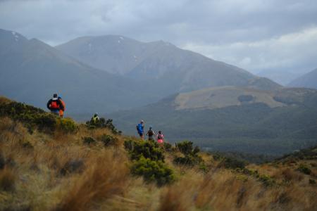 Valley Ultra 2021 - The Whole Hog