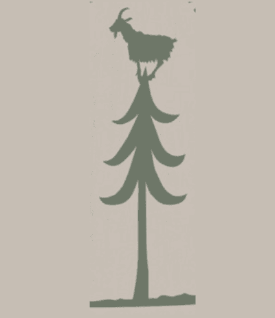 Mossarun 2022 - Mossarun 24h/100k